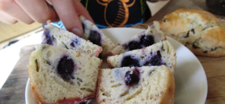 近日モモスイーツ走り書き。5月27日（火）〜