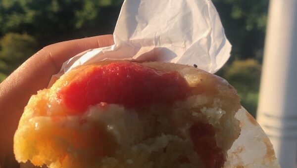 夏の果実、畑から舞い降りた