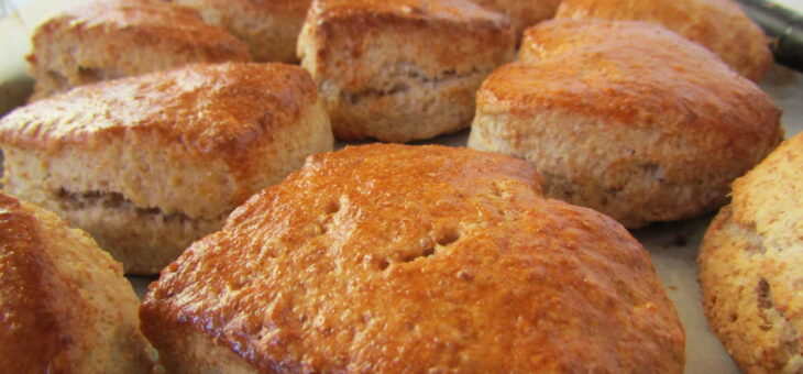 10月近日のオープン予定!