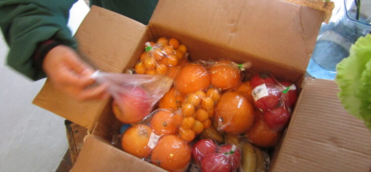 佐賀LIVE遠征より茅ヶ崎。かきとちゅう