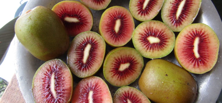 4月近日&仮カレンダー。少し書き進めた。